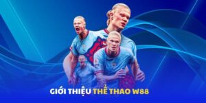 Hiểu đúng về thể thao W88