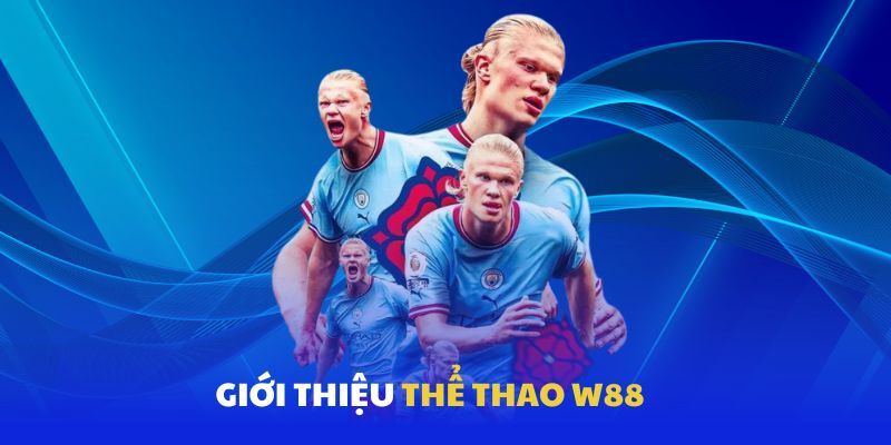 Hiểu đúng về thể thao W88