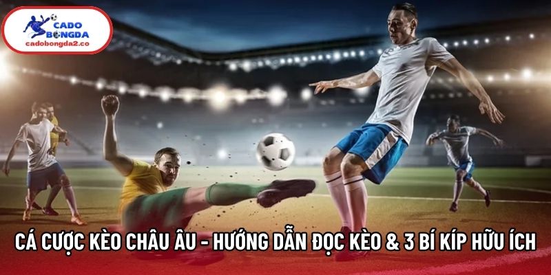 Cá Cược Kèo Châu Âu - Hướng Dẫn Đọc Kèo & 3 Bí Kíp Hữu Ích