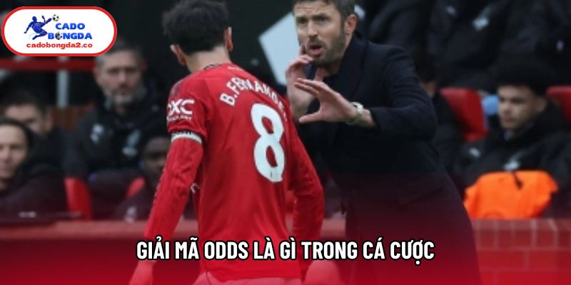 Giải mã odds là gì trong cá cược