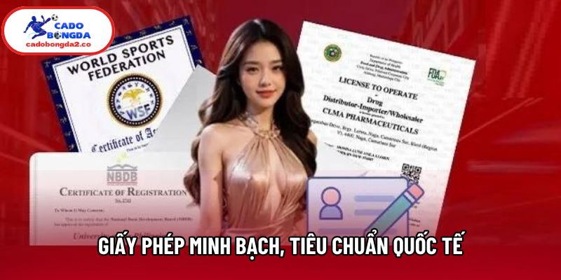 Giấy phép minh bạch, tiêu chuẩn quốc tế