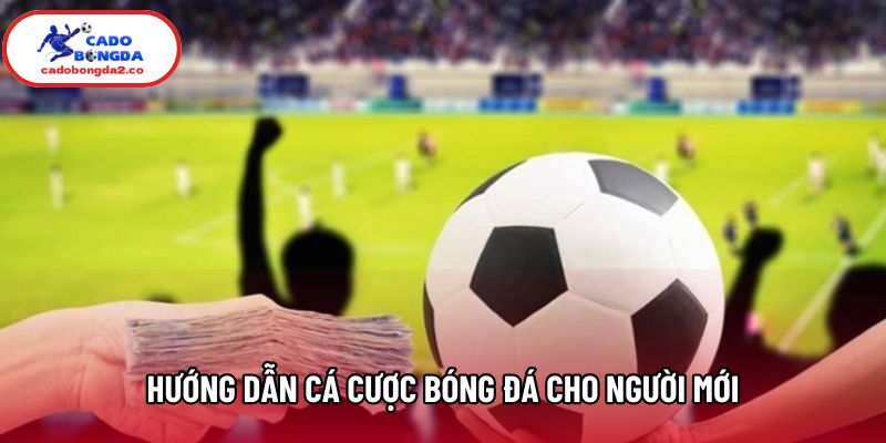 Hướng Dẫn Cá Cược Bóng Đá Cho Người Mới Từ Cơ Bản 2026
