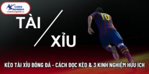 Kèo Tài Xỉu Bóng Đá - Cách Đọc Kèo & 3 Kinh Nghiệm Hữu Ích