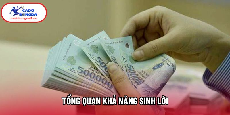 Tổng quan khả năng sinh lời