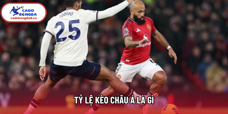 Tỷ Lệ Kèo Châu Á Là Gì? Bí Kíp Đọc Kèo Và Chiến Thuật Soi 