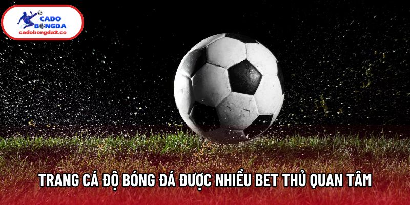Trang cá độ bóng đá được nhiều bet thủ quan tâm